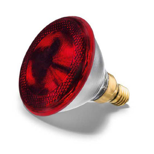 BEURER Glühbirne Infrarotlicht 100W