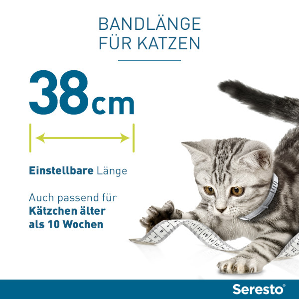 Seresto Halsband für Katzen gegen Zecken und Flöhe, wirkt abtötend und repellierend  bis zu 7-8 Monate